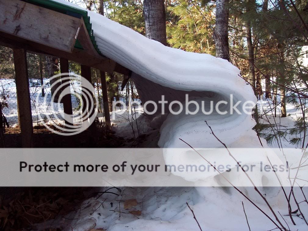 Rain Gutters and snow